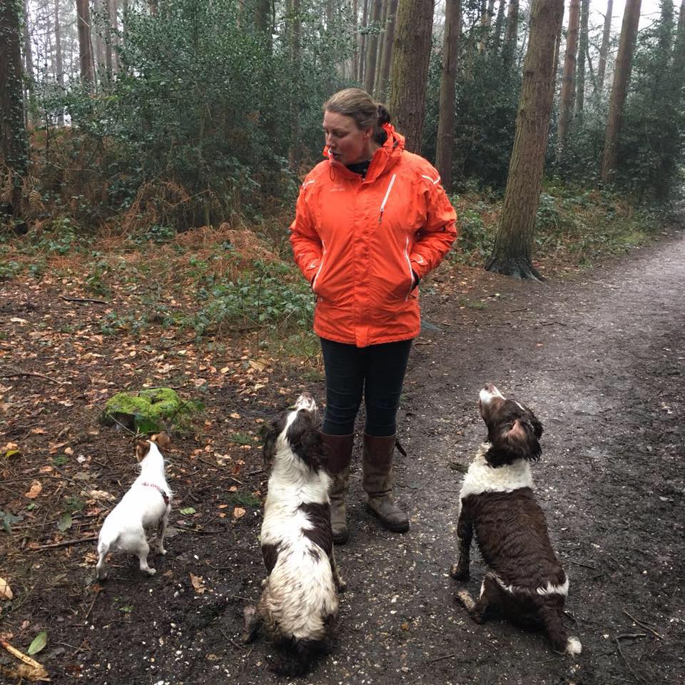 Wickham Walkies Dog Walking & Day Boarding